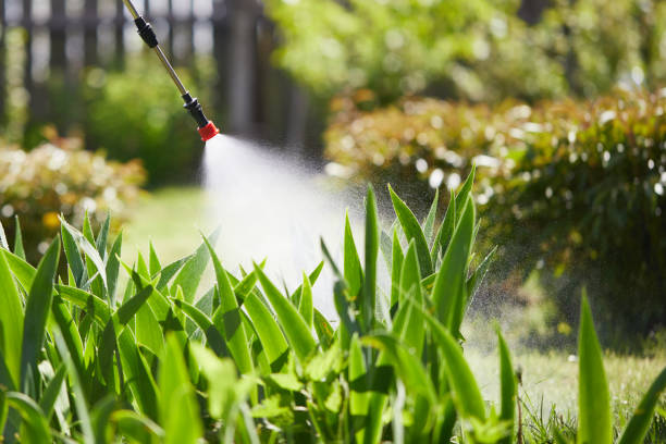 24/7 Emergency Fumigation Services experts in South Hutchinson, KS